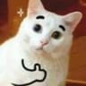 DRXWのアバター